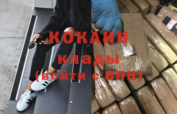 амф Алексин